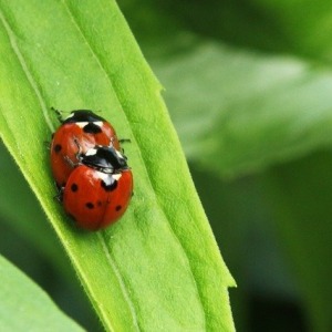 Como mejorar el control eyaculatorio en un hombre