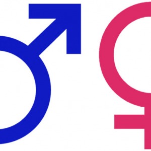 ¿Cómo funciona la respuesta sexual humana?