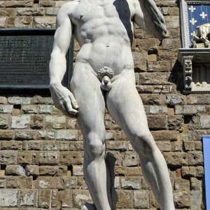 Cuestión de tamaño del pene