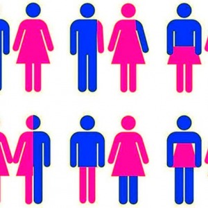 La diversidad de géneros: identidad de género y orientación sexual