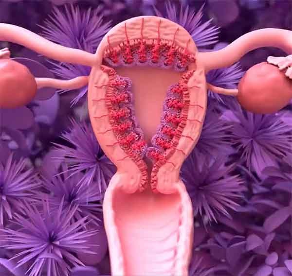 Fases emocionales del ciclo menstrual